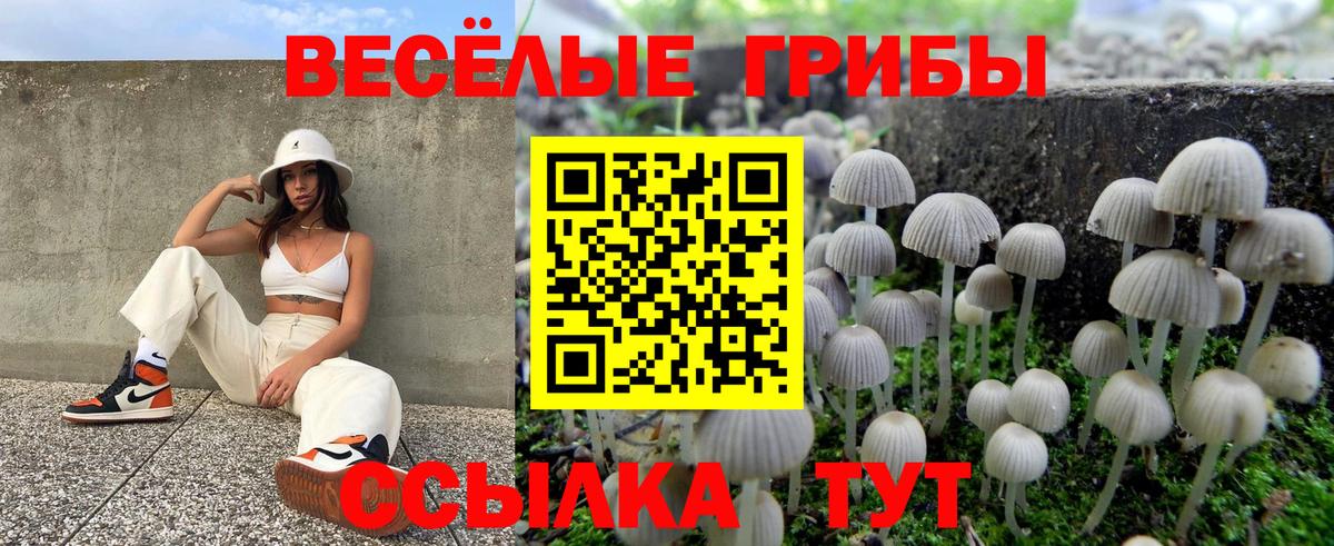 Галлюциногенные грибы Cubensis Кизляр