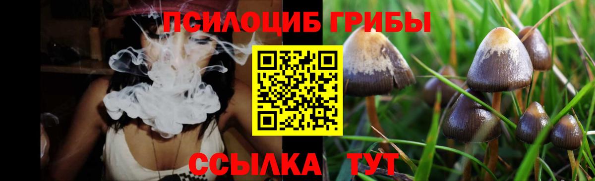 Псилоцибиновые грибы Psilocybe  где найти   Кизляр  Вход с VPN  Псилоцибиновые грибы GOLDEN TEACHER 